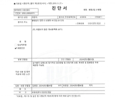 대뇌동맥류 뇌혈관진단비 손해사정사례
